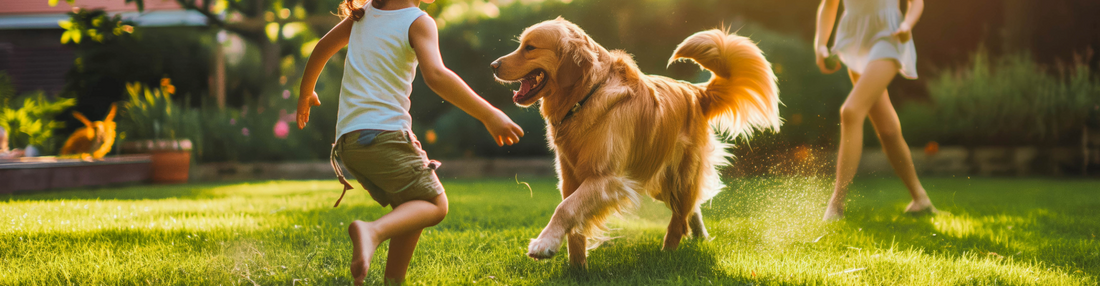 Beyond Masking Smells: How Supramolecular Chemistry Protects Your Family and Pets