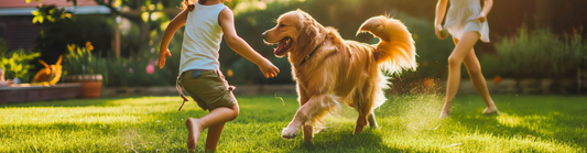 Beyond Masking Smells: How Supramolecular Chemistry Protects Your Family and Pets