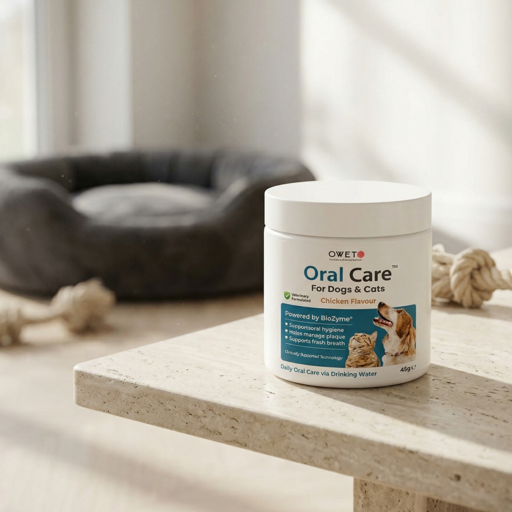 Oral Care - Water Additive Powder