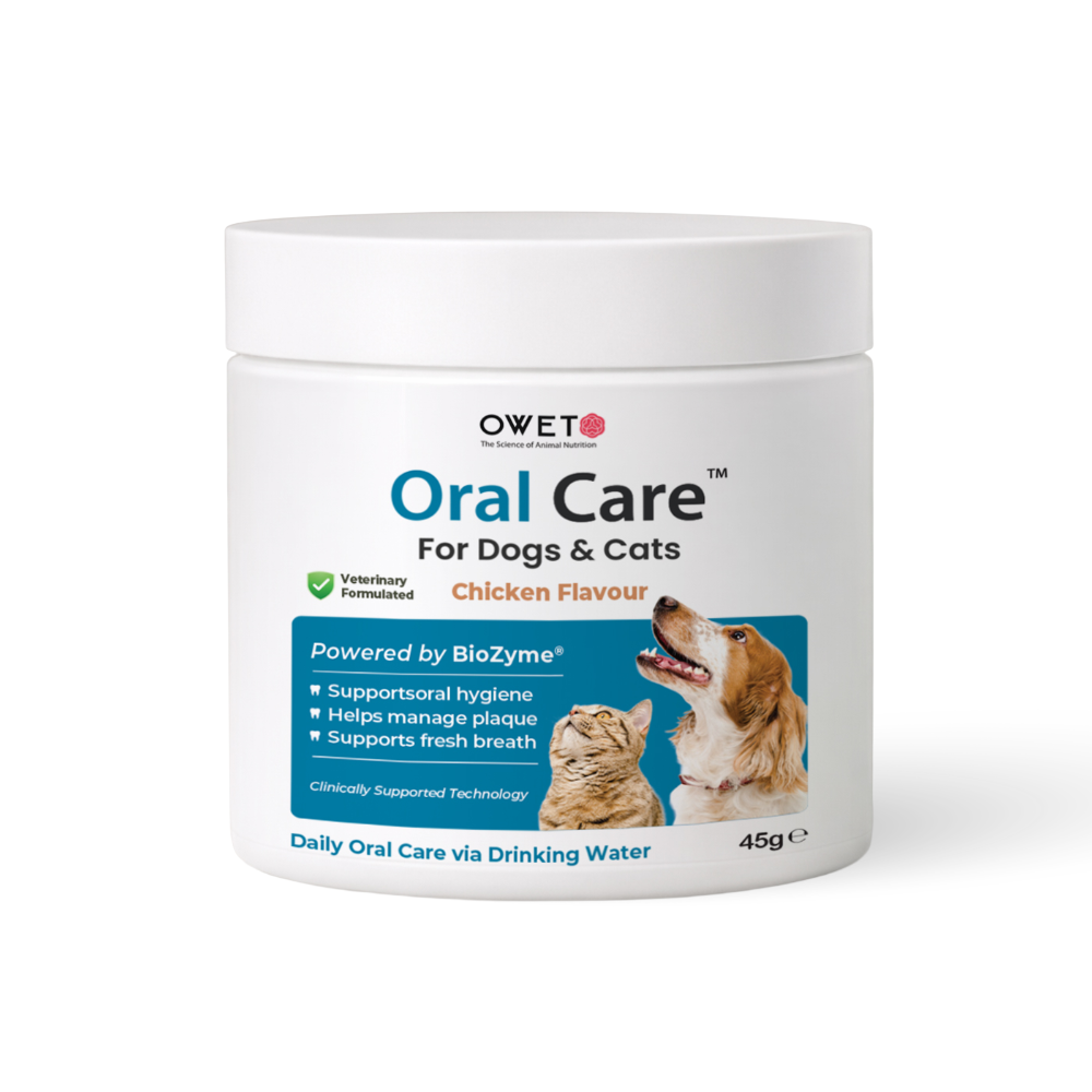 Oral Care - Water Additive Powder