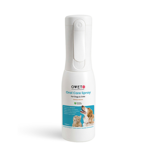 Oral Care - Travel Spray