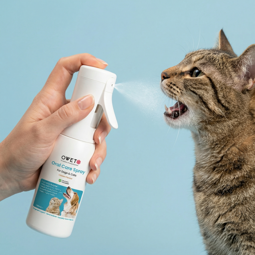 Oral Care - Travel Spray