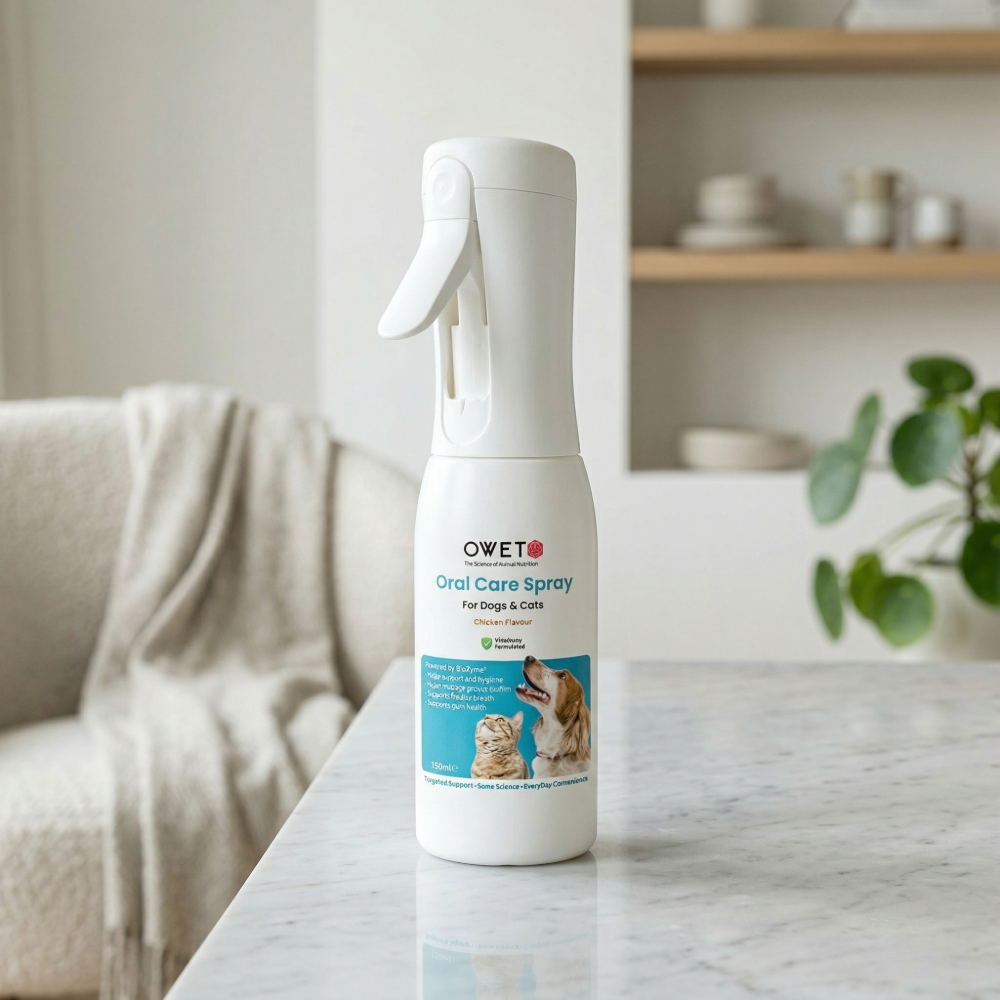 Oral Care - Travel Spray